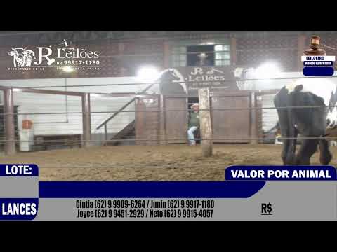 JR LEILÕES - VIANÓPOLIS -GO - 04/02/2026