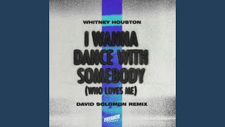 Musik-Video-Miniaturansicht zu I Wanna Dance with Somebody Songtext von Whitney Houston & David Solomon