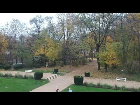 Drón felvétel a Margit Szigeten