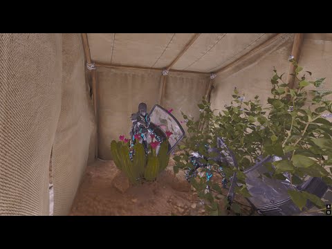Claiming a Valguero and Scorched Server in 1 Week | SMALL TRIBES ARK ASCENDED