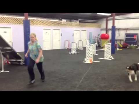 Desi training with T 11-12-14