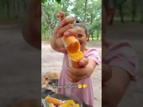 Buriti de BC - Santiago produções em Benjamim Constant AM