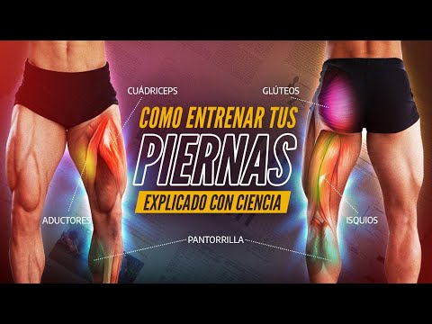 The best LEG WORKOUT (Explained scientifically and quickly)