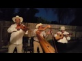 Las mañanitas  grupo de Arpa  Estilo michoacan de bakersfield california