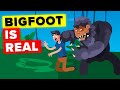 Scientific Evidence Bigfoot Actually Exists