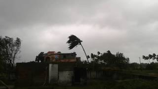 preview picture of video 'Vardha cyclone effect in thiruvallur 2016'