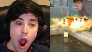 George Reacts to WEIRD TikToks