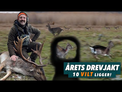 Årets bästa drevjakt - Alla profiler på samma ö!