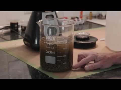 The Ultimate Guide to Making Cannabis Oil (Best on YouTube) 🪴