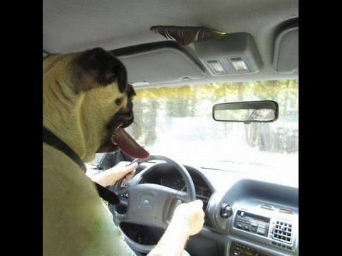 35 Fotos Que Tendrás Que  Mirar 2 Veces Para entenderlas