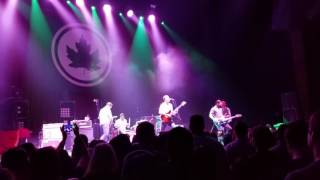 The Early November - Decoration (live)