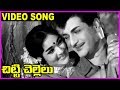 Chitti Chellelu Telugu Super Hit Video Song NTR Vanisri Rajasri Haranath