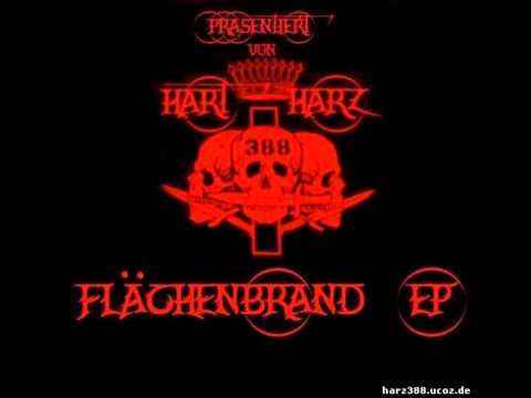 Forke dez TodezZ - Anschlag (2009)