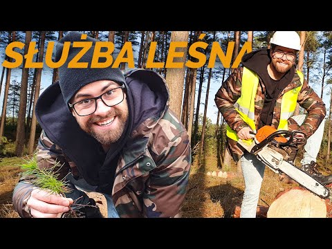 WHAT DOES A FORESTRYMAN DO? And how much do they earn? Cutting down forests and planting trees. |...