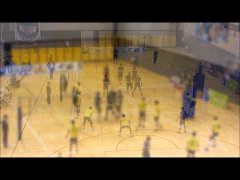 CEV-Cup: MOK Rovinj - Landstede Volleybal 0-3 (20-11-2014)