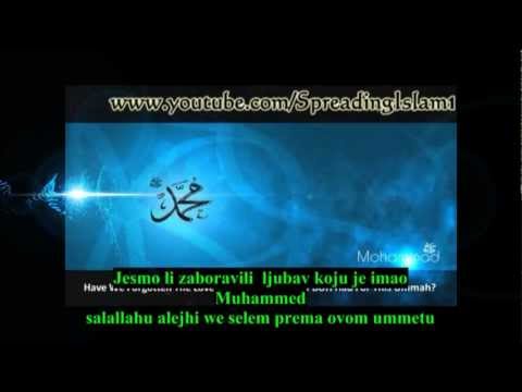 On je bio Muhhamed salallahu alejhi we selem - milost svim svjetovima 1-dio