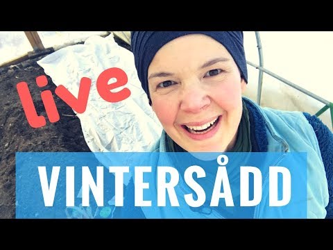 Vintersådd i lilla tunneln