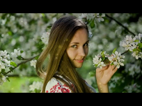 Моя Родина Сибирь