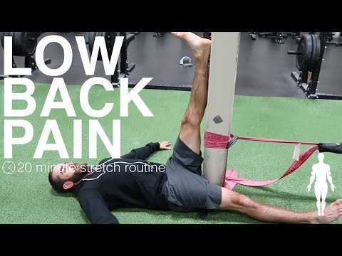 20-minute Stretching Routine for Chronic Back Pain Relief