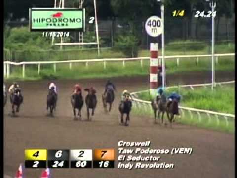 2DA CARRERA DEL DOMINGO 16 DE NOVIEMBRE 2014