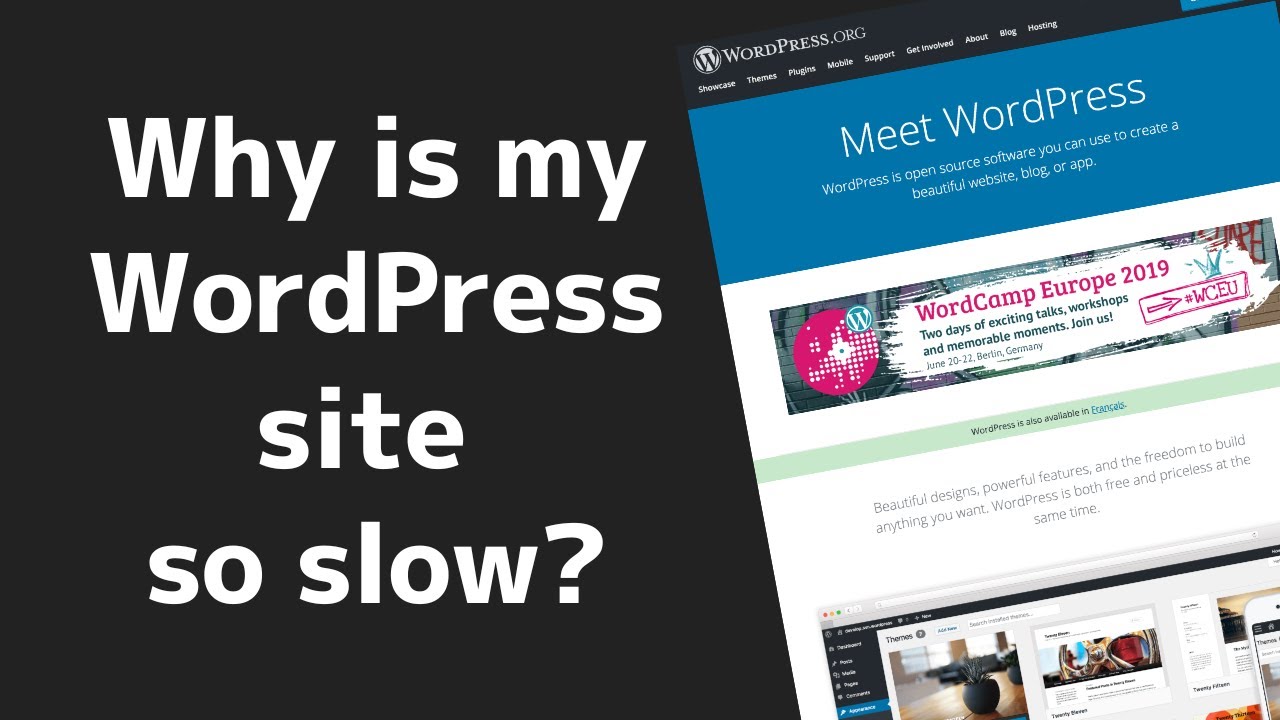 Why Is my WordPress Site So Slow?