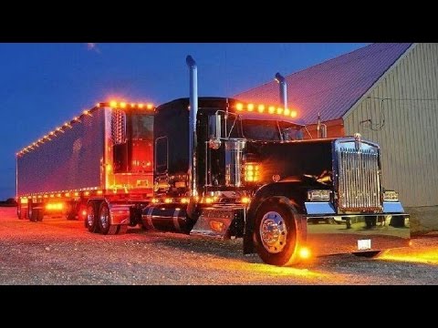 download lagu mp3 mp4 Chicken Lights, download lagu Chicken Lights gratis, unduh video klip Chicken Lights