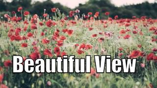 🎸 Acoustic Alternative Country Instrumental - Beautiful View SOLD