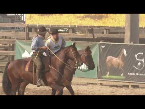 A VENDA DO ANO!! Fernando Fischer e Claudio Fagundes   1º Lugar Final Nacional de Paleteadas 2019