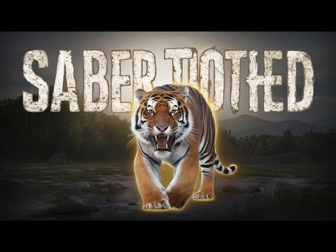 Saber Toothed Tiger