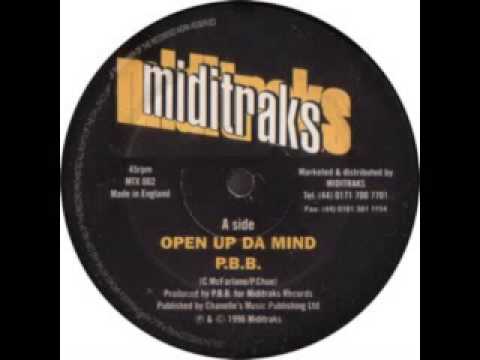 potential bad boy - open up da mind