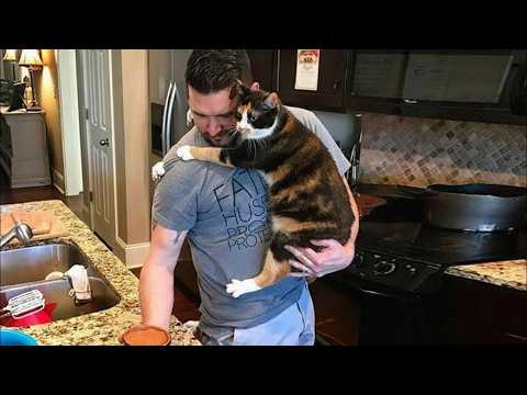 I Gave My Husband a Cat… and He Couldn’t Stop Smiling 😂