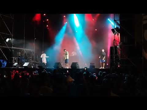 Locoplaya - Canaryass DIRECTO