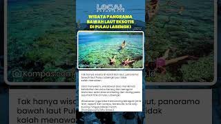 Pulau Labengki Tawarkan Snorkeling Diving hingga Memancing dengan Panorama Terumbu Karang Indah