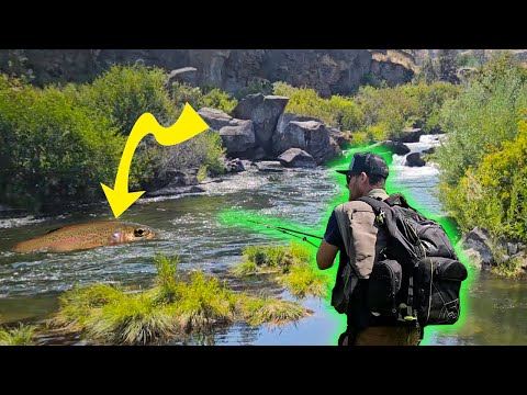 How to Find Trout in a River - Trout Fishing Basics