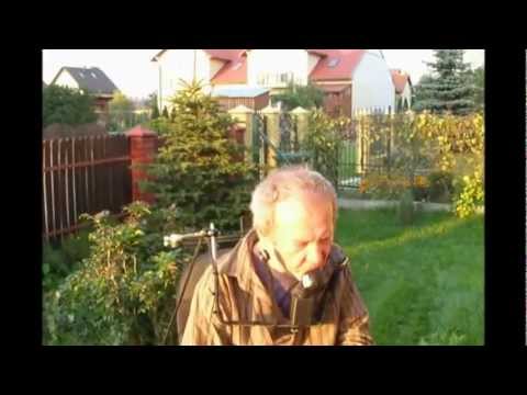 Obrazek poglądowy filmu YouTube