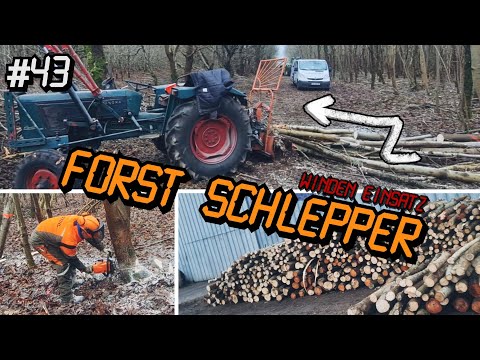 Hanomag Perfect in the Forest | Forestry Tractor | Homemade Forestry Winch | Wood | Oldtimer_junkie