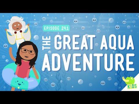 The Great Aqua Adventure: Crash Course Kids #24.1