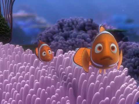 Finding Nemo Barracuda