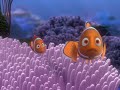 Finding Nemo Barracuda