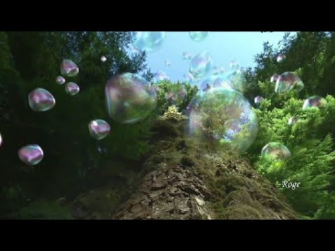 La Música De Los Dioses  - Nirvana  - Sygna