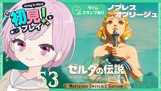 龍の泪を調べて物語の真相に迫るます💧ドキドキとワクワクとザワザワが入り混じって大号泣な九州の蛮族｜シリーズ完全初見【ゼルダの伝説 ティアーズ オブ ザ キングダム｜ティアキン｜TotK】#53