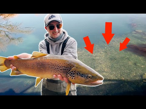 At the Monster Stream: Mega trout on mini baits!