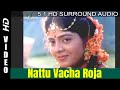 Nattu Vacha Roja Aranmanai Kili P Susheela Melody Hit 5 1 Remastered Hd Audio
