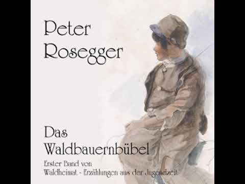 Waldheimat 06   Das fahrende Zechen   Peter Rosegger