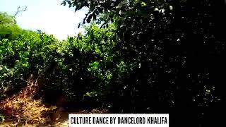 Burna boy-kill dem dance video by dancelord khalifa