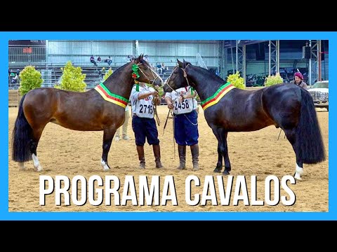 Campeões da Morfologia do Cavalo Crioulo - Expointer 2023