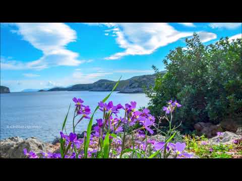 Jens Gad  -  Les Eaux Verts