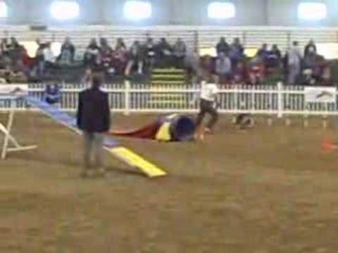 Nancy/Reason AKC '07 Nationals