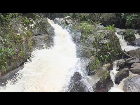 Cachoeira De Baixo Do Rio Pinhal Grande - Cerro Azul, PR