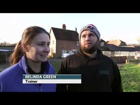 BELINDA GREEN HISTORY